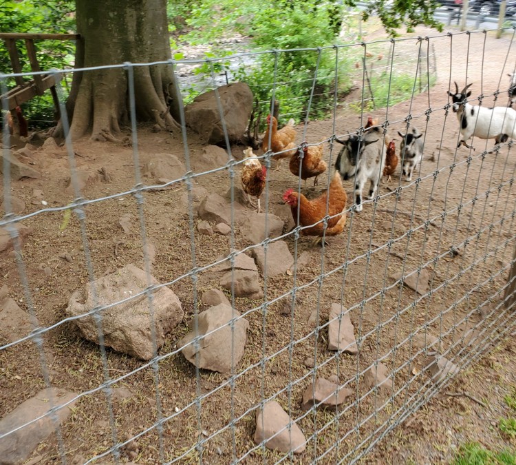 Funny Farm Petting Zoo (Stevens,&nbspPA)
